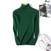 Korean Style Slim Fit Turtleneck Sweater for Women