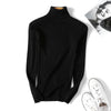 Korean Style Slim Fit Turtleneck Sweater for Women