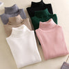 Korean Style Slim Fit Turtleneck Sweater for Women