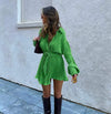 Pleated Long Sleeve Belted Shirt Dress