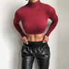 Sexy Slim Fit Turtleneck Long Sleeve Top