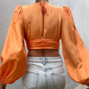 Solid Color Deep V Plunge Long Sleeve Cropped Top